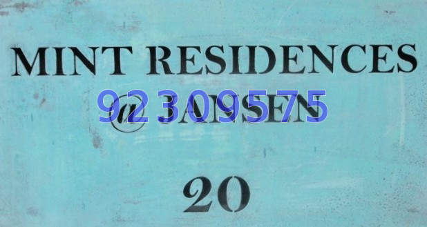 Mint Residences @ Jansen (D19), Apartment #54781392